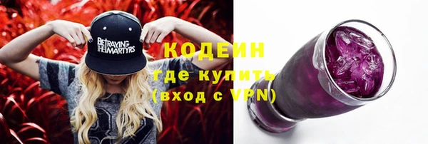 шишки Абаза