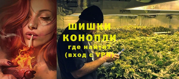 спайс Алексин