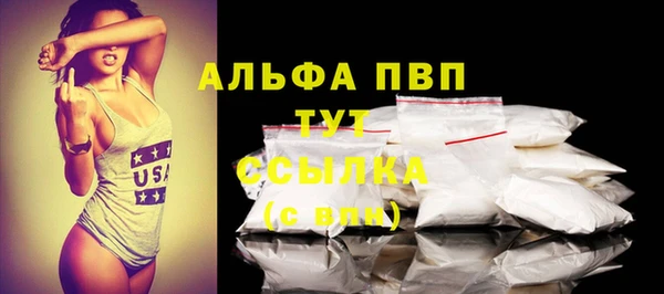 шишки Абаза