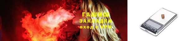 шишки Абаза