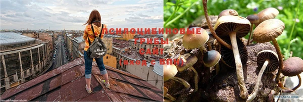 герыч Алексеевка