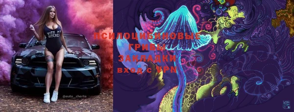 ПСИЛОЦИБИНОВЫЕ ГРИБЫ Алзамай