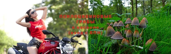 кристаллы Абинск