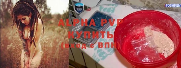шишки Абаза