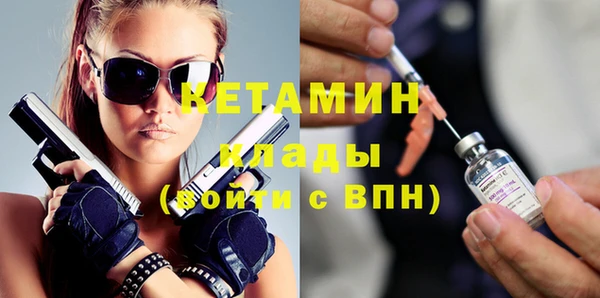шишки Абаза